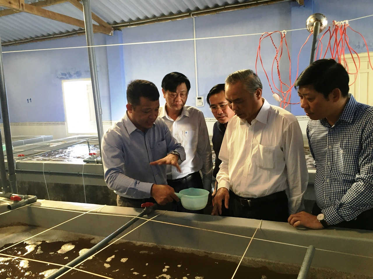 Ninh Thuận: Sản lượng tôm giống đến năm 2020 đạt 36 tỷ con - Ảnh 1.