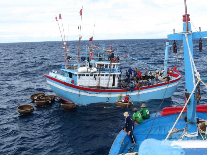 Con số đáng ngại: 92 tàu cá bị nước ngoài bắt giữ, mỗi ngày phát hiện 90 tàu mất tín hiệu - Ảnh 3.