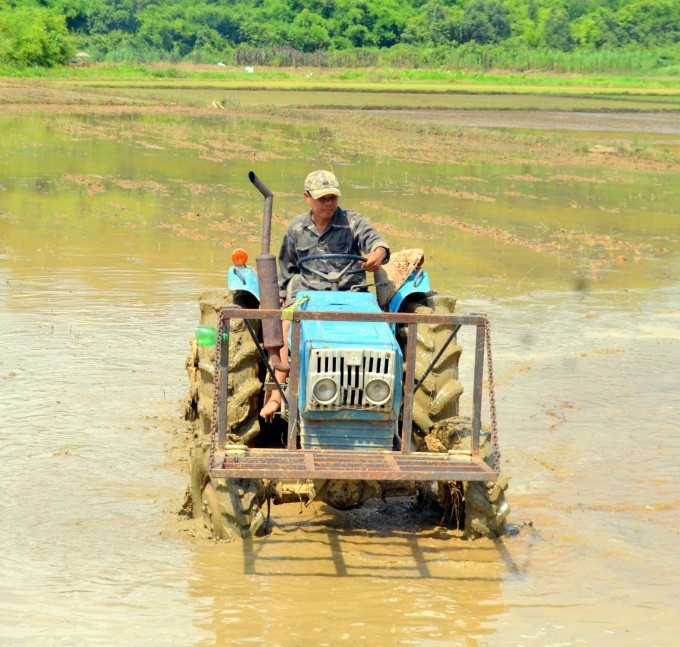 Nông dân làm giàu từ 'hạt ngọc' trên non - Ảnh 4.