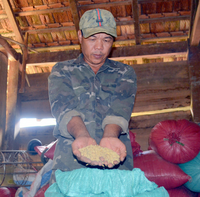 Nông dân làm giàu từ 'hạt ngọc' trên non - Ảnh 3.