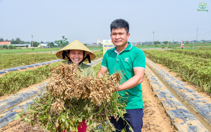 Tiến Nông 