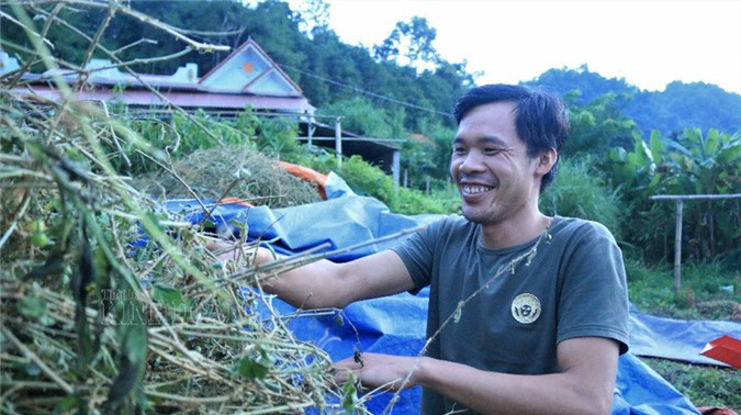 Cầm sổ đỏ vay tiền 'nuôi' cây dược liệu quý, bản nghèo &quot;đổi đời&quot; sau 2 năm - Ảnh 1.