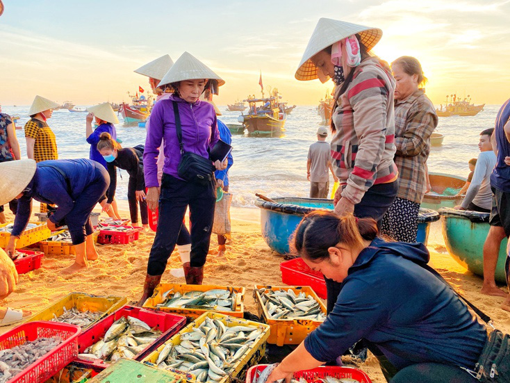 Quảng Bình: Mặt trời chưa mọc tha hồ chọn tôm, cá tươi roi rói, nhảy tanh tách ở chợ &quot;làng không ngủ&quot; - Ảnh 6.