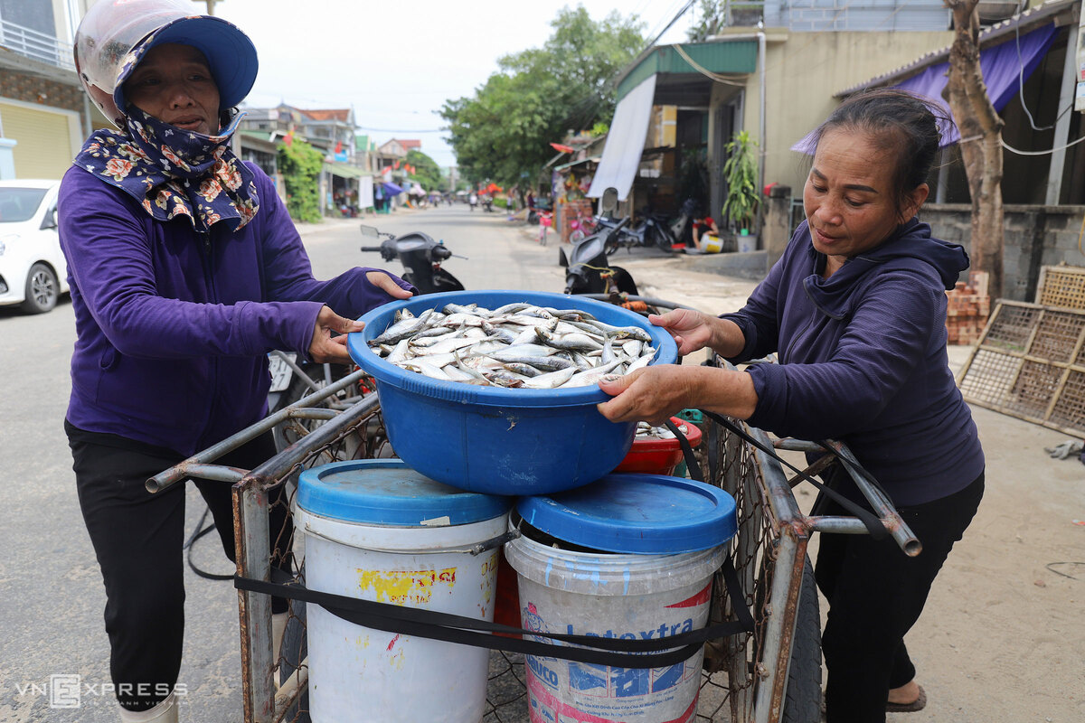 Ngư dân nướng cá trích kiếm tiền triệu mỗi ngày - Ảnh 3.