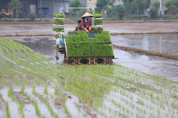 Bài 4: Kinh nghiệm quốc tế về bảo hiểm nông nghiệp (tiếp theo và hết) - Ảnh 8.