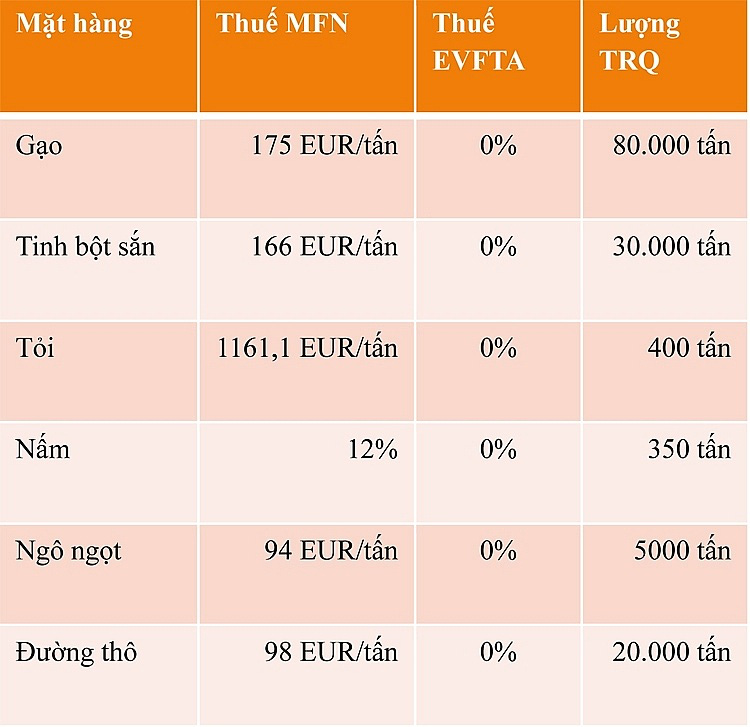 &quot;Cánh cửa&quot; cho nông sản Việt Nam vào thị trường Liên minh châu Âu - Ảnh 3.