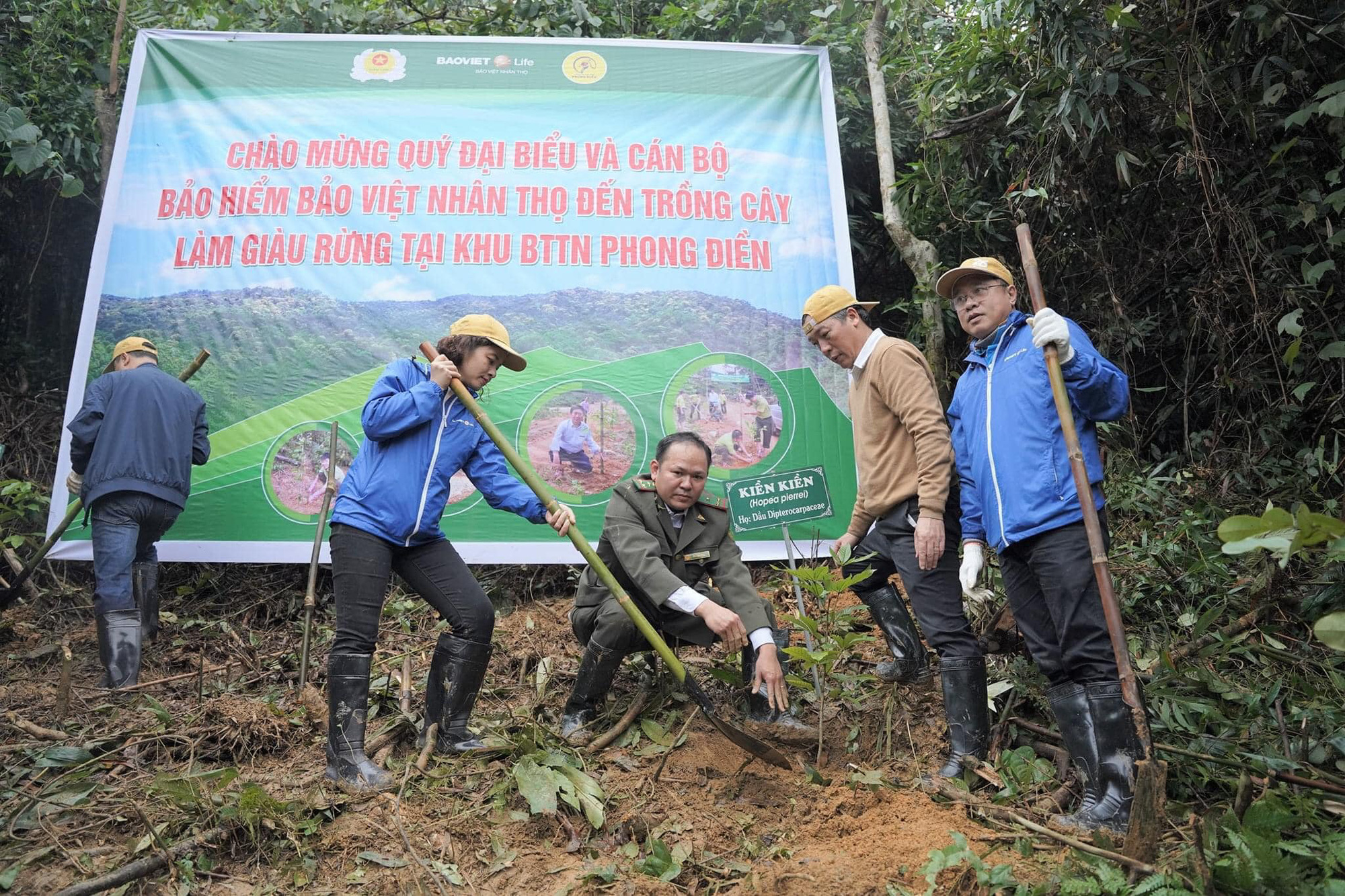 Trồng 2.500 cây gỗ bản địa đầu tiên tại Khu bảo tồn thiên nhiên Phong Điền - Ảnh 4.