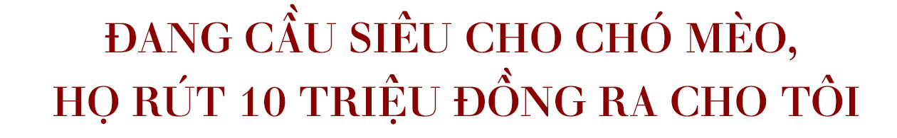 Phong lưu mã thượng, tôi nhờ chó mèo mà đi lên! - Ảnh 7.