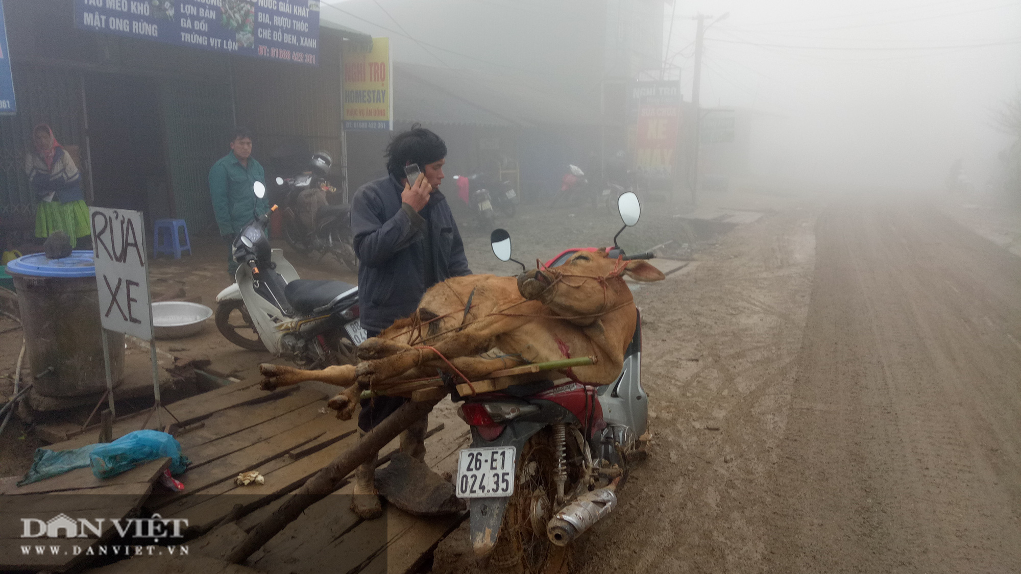 Nước mắt nông dân trên cánh đồng băng giá - Ảnh 2.