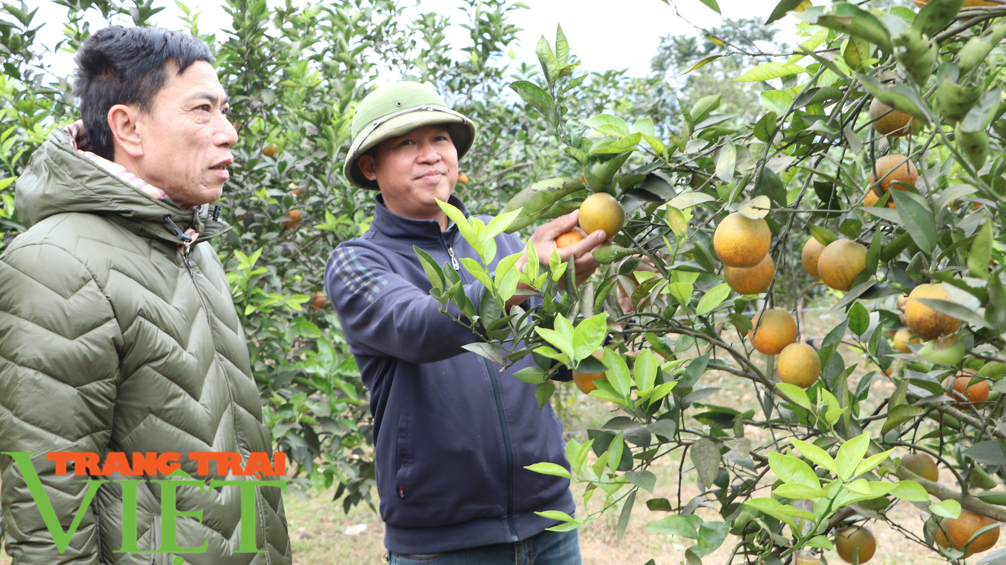 Huy Tân nỗ lực thực hiện tiêu chí thu nhập trong xây dựng nông thôn mới - Ảnh 1.