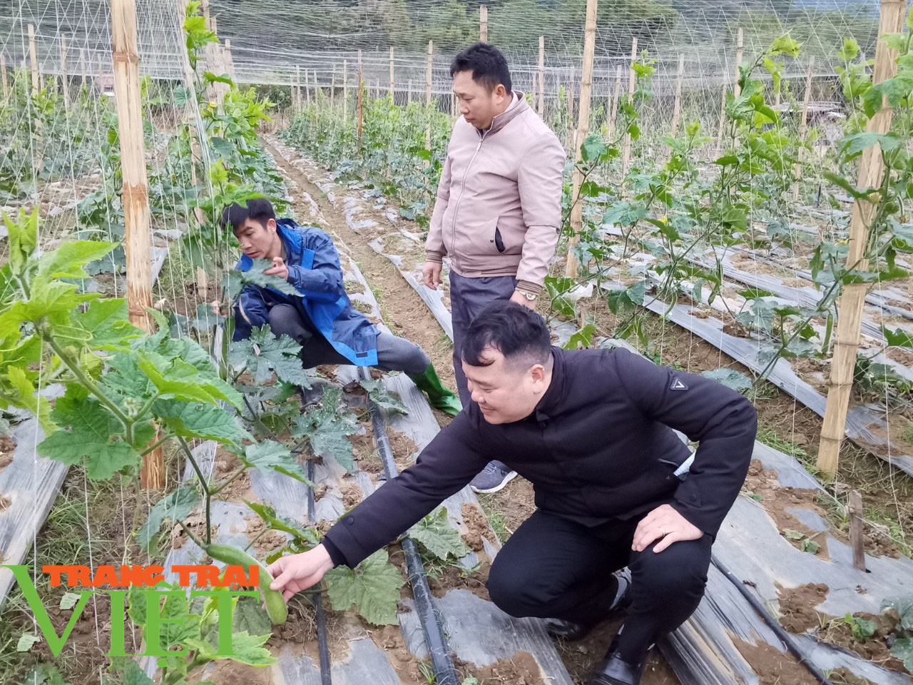 Huy Tân nỗ lực thực hiện tiêu chí thu nhập trong xây dựng nông thôn mới - Ảnh 3.