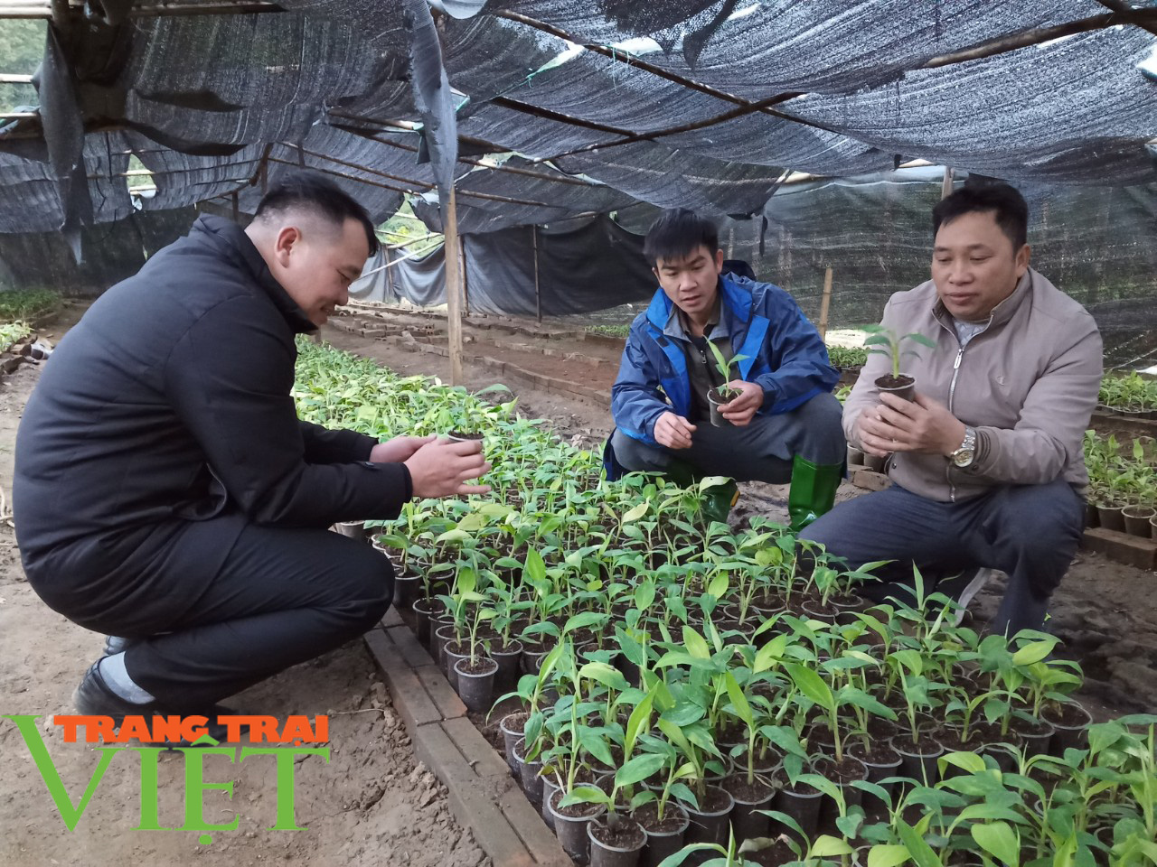 Huy Tân nỗ lực thực hiện tiêu chí thu nhập trong xây dựng nông thôn mới - Ảnh 4.