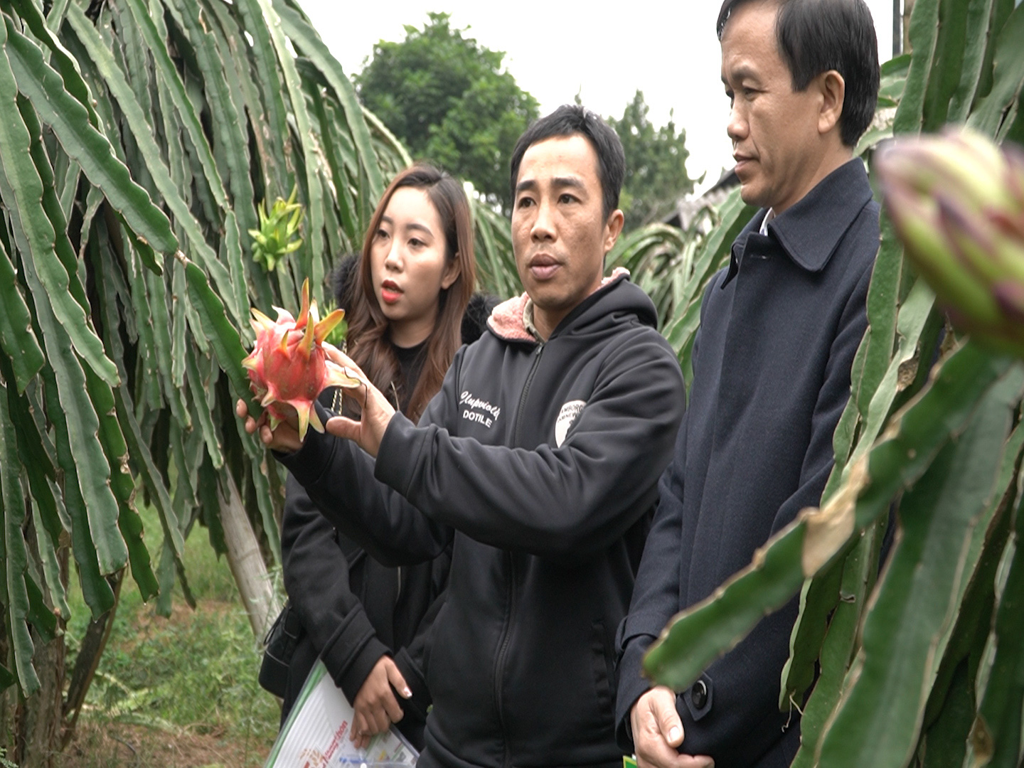 Công tác tuyên truyền là yếu tố quan trọng để Quỹ Hỗ trợ Nông dân đi đến thắng lợi - Ảnh 2.