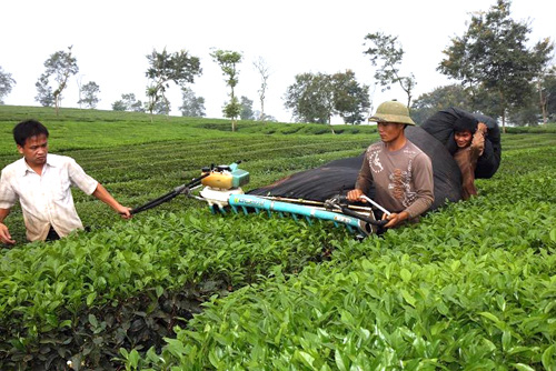 Khoa học và công nghệ thúc đẩy phát triển vùng dân tộc thiểu số - Ảnh 3.