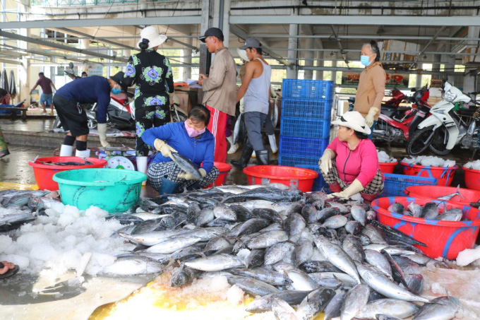 Sẽ triển khai truy xuất nguồn gốc thủy sản bằng điện tử - Ảnh 3.