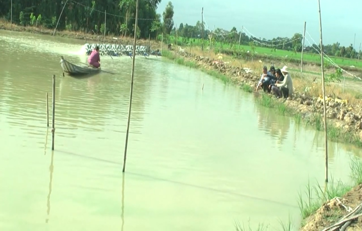 Đồng Tháp: Triển vọng mô hình nuôi kết hợp giữa cá chạch lấu và cá heo trong ao đất - Ảnh 2.