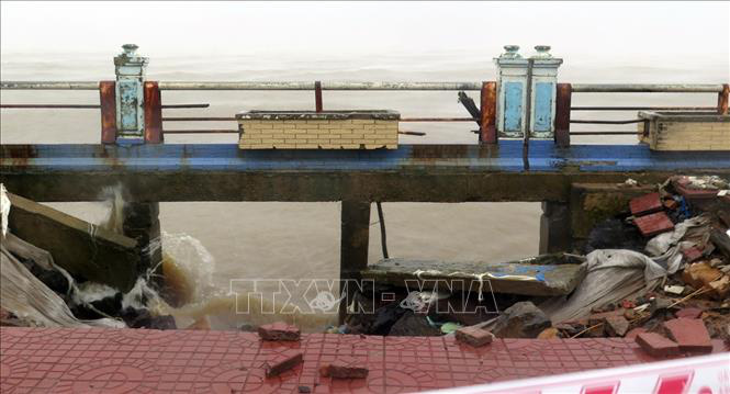 Phú Yên: Đến khổ, gió mùa Đông Bắc hoạt động mạnh, nông dân đang mất những thứ này - Ảnh 1.