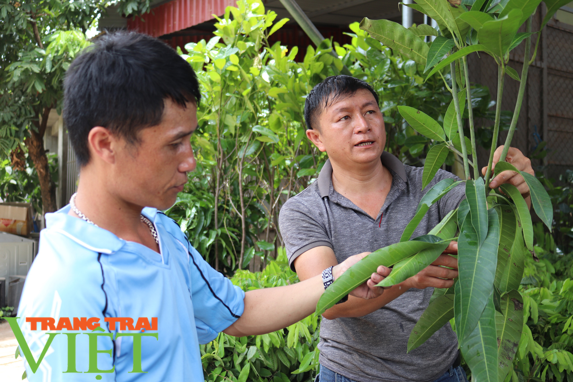 Nông thôn mới Mường La ngày càng khởi sắc - Ảnh 9.