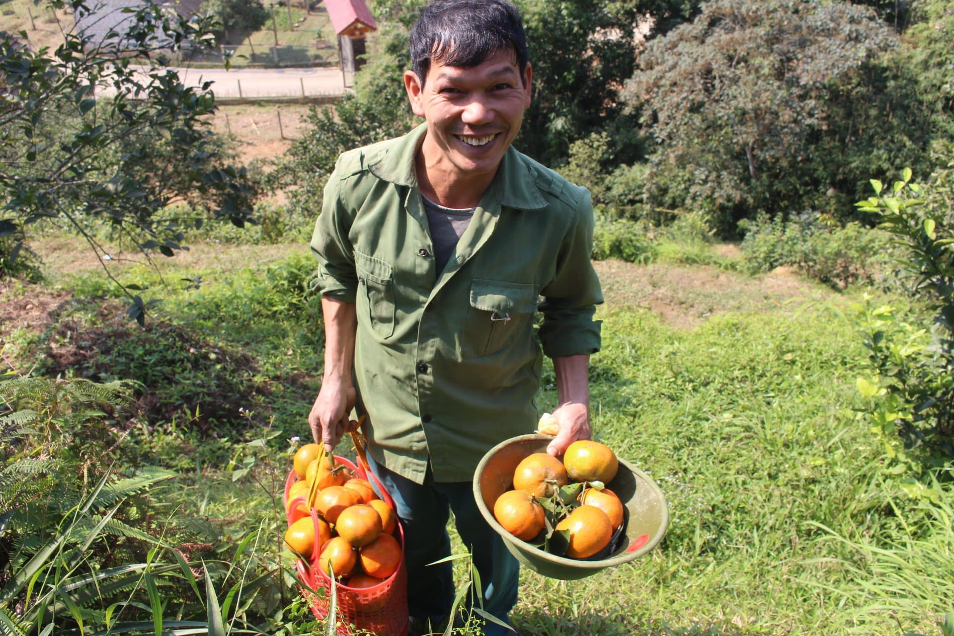 Hà Tĩnh: Cam bù &quot;đế vương&quot; chín đỏ rực khắp các triền đồi chờ tết - Ảnh 8.