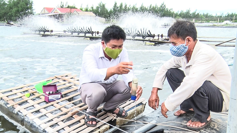 Quảng Trị: Nuôi tôm công nghệ cao 3 giai đoạn, sau 4 tháng nông dân bất ngờ bắt bán 5,5 tấn - Ảnh 1.