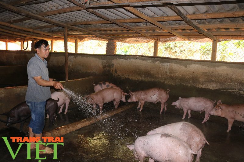 Nông thôn Thuận Châu ngày một khởi sắc - Ảnh 6.