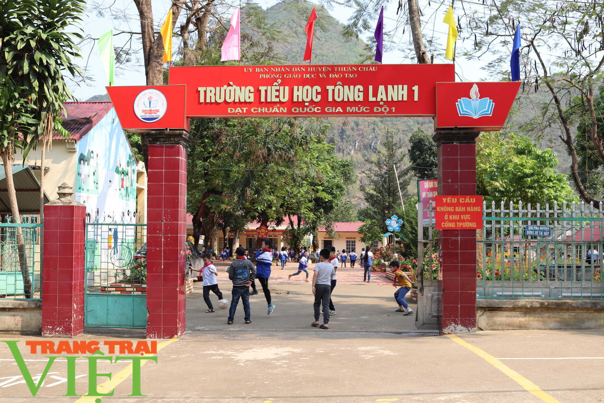 Nông thôn Thuận Châu ngày một khởi sắc - Ảnh 7.