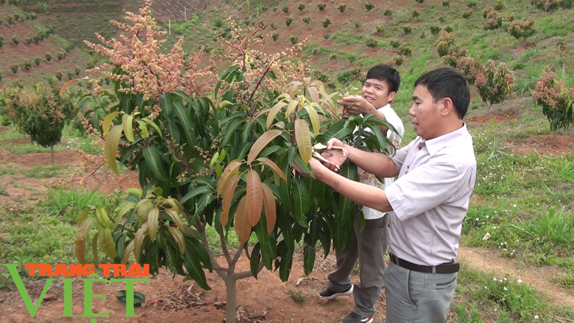 Nông thôn Thuận Châu ngày một khởi sắc - Ảnh 4.