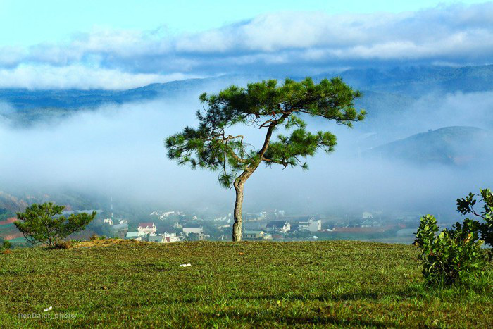 Loạt điểm đến trong mơ chớ nên bỏ lỡ khi ghé thăm Đà Lạt trong mùa xuân này - Ảnh 2.