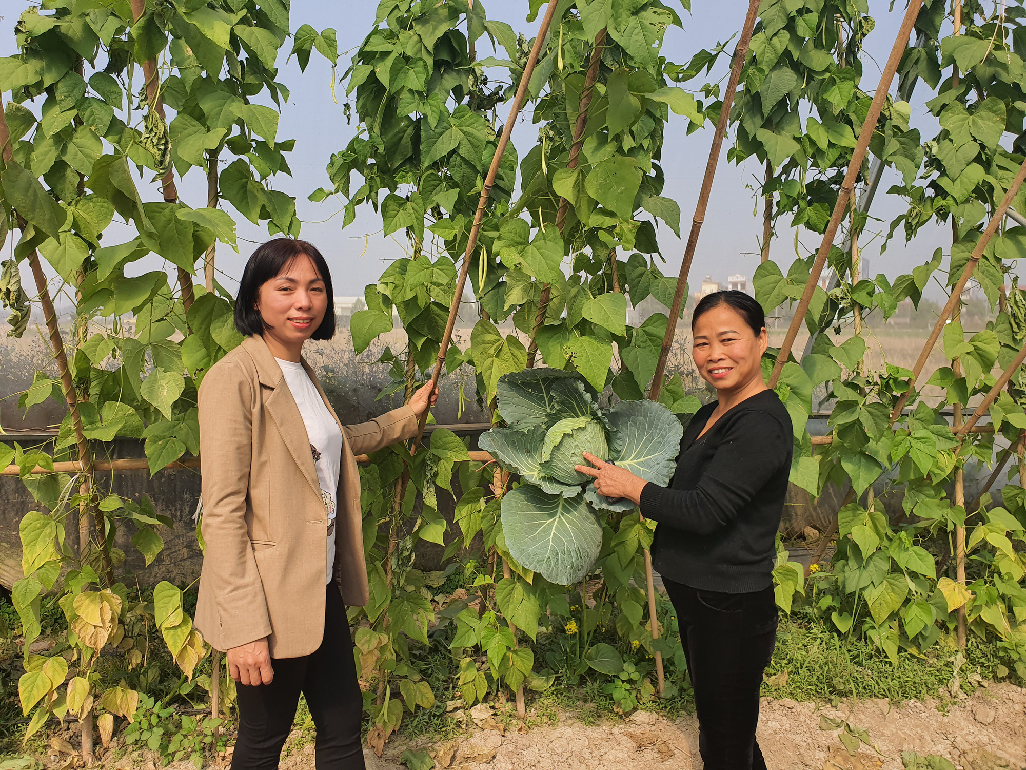 Người phụ nữ làm giàu từ nông nghiệp công nghệ cao - Ảnh 3.