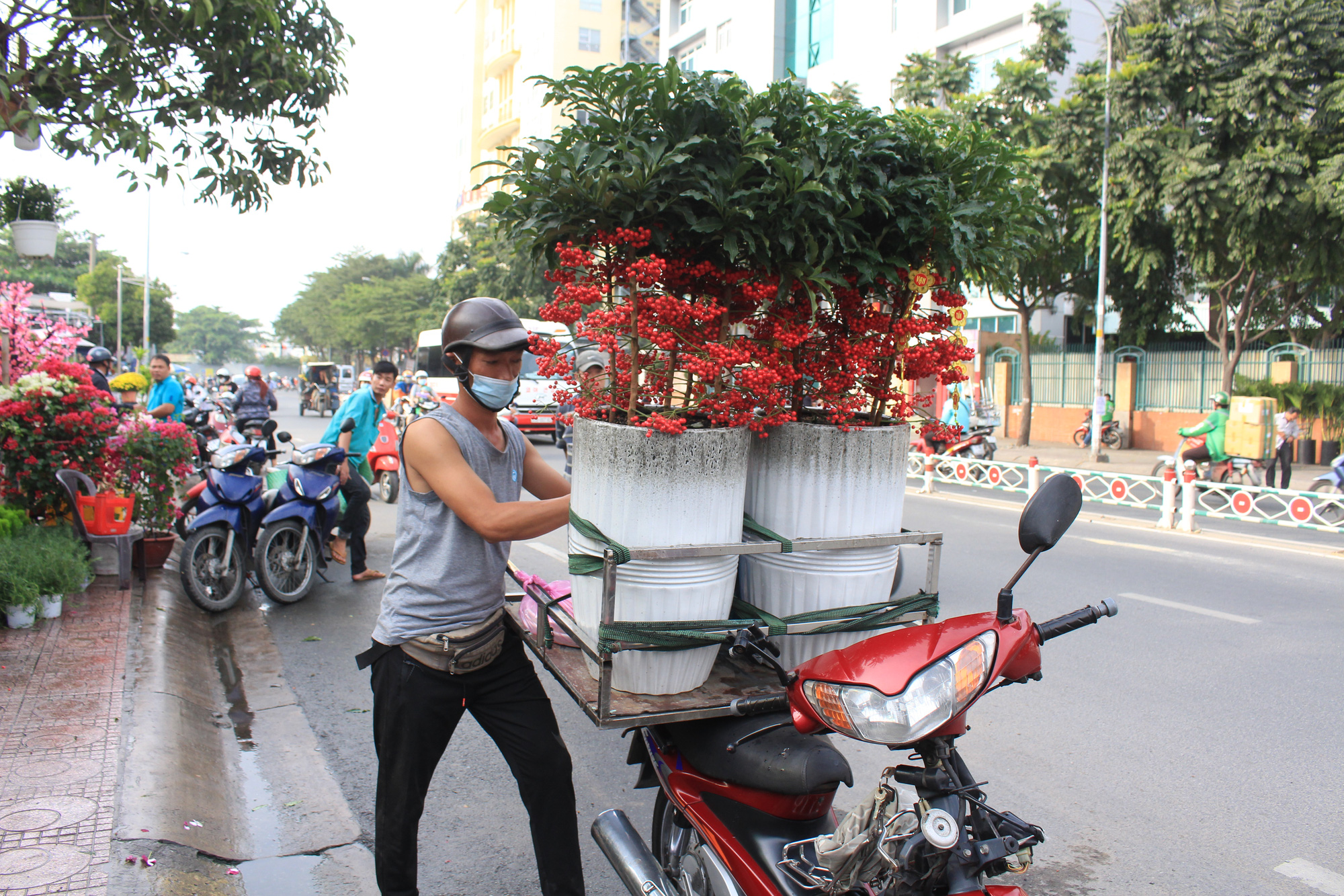 Hoa kiểng Tết đã bán tại Sài Gòn, tranh thủ giá rẻ, nhiều người đi mua sớm - Ảnh 9.