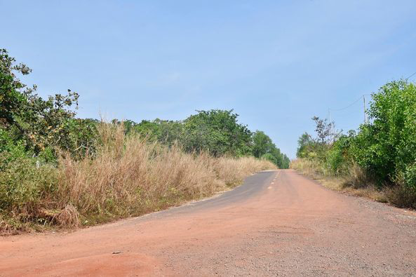 Chủ trương mở đường, xây cầu kết nối với sân bay Long Thành, sốt đất rần rần ở Bình Phước - Ảnh 2.