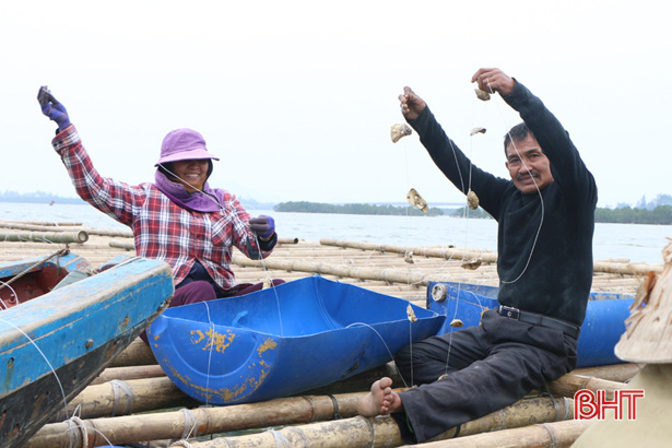 Hà Tĩnh: Giữa thành phố này, nông dân nuôi loài gì mà &quot;xâu&quot; thành dây thả xuống nước? - Ảnh 5.