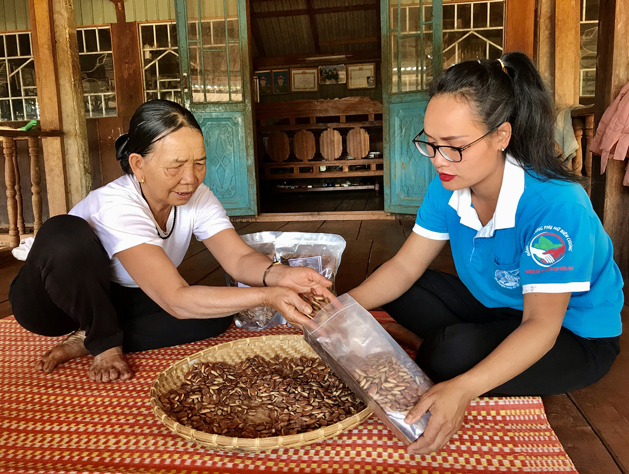 Gia Lai: Thứ hạt rụng đầy trong rừng, trước dân nhặt ăn chống đói, nay biết là quý hiếm mang đi bán đắt tiền - Ảnh 1.