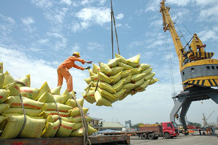 205 thương nhân đủ điều kiện kinh doanh xuất khẩu gạo - Ảnh 1.