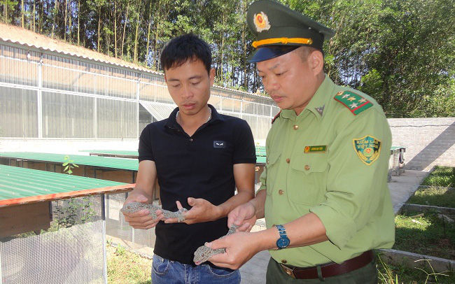 Một nông dân trẻ tỉnh Bắc Giang nuôi loài cất tiếng kêu nghe thảng thốt, nơi hẻo lánh vẫn thu nửa tỷ/năm