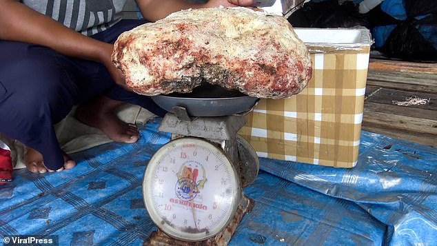 Vô tình nhặt được hòn đá nghi long diên hương nặng 7 kg, ngư dân trẻ vớ bẫm được cả &quot;kho báu&quot; tiền tỷ - Ảnh 4.