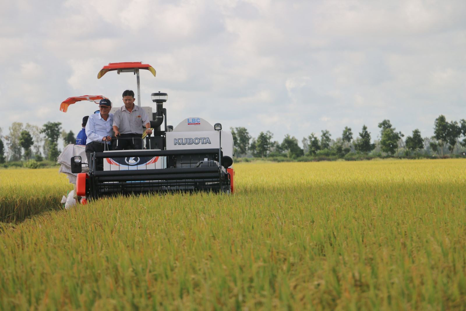 60 tấn gạo Việt Nam đầu tiên được nhập khẩu vào Anh theo UKVFTA - Ảnh 1.