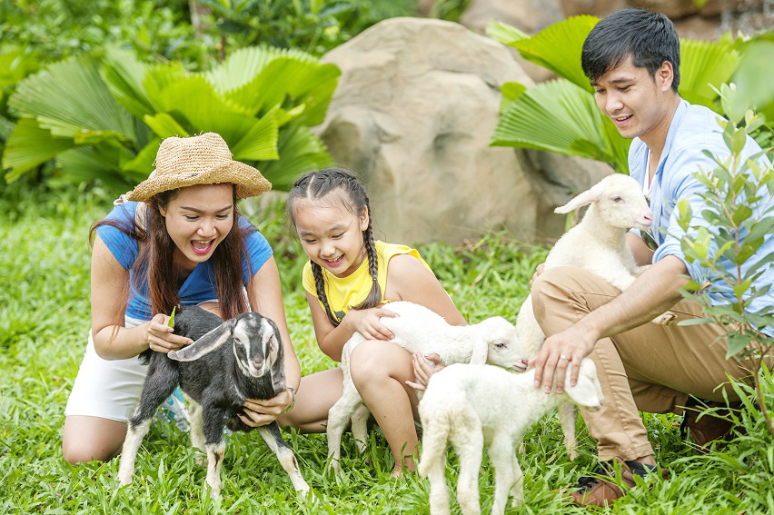 Muôn sắc thái xuân  “vui tròn khoảnh khắc, Tết trọn yêu thương” trên đảo Ngọc - Ảnh 6.