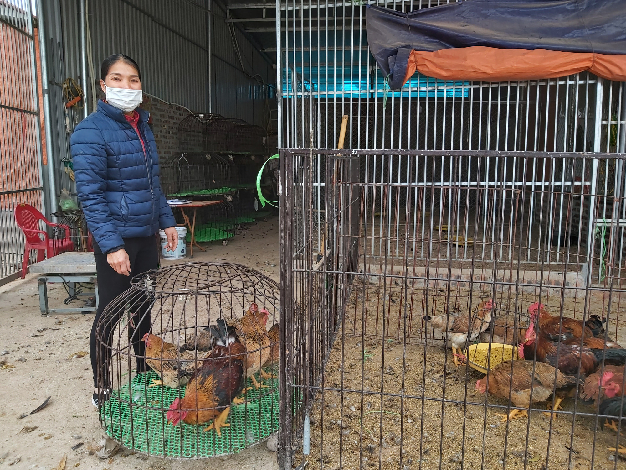 Bắc Giang: Cận Tết, chợ thu mua gà lớn nhất huyện Tân Yên ảm đạm, tiêu thụ giảm 30% so với năm trước - Ảnh 1.