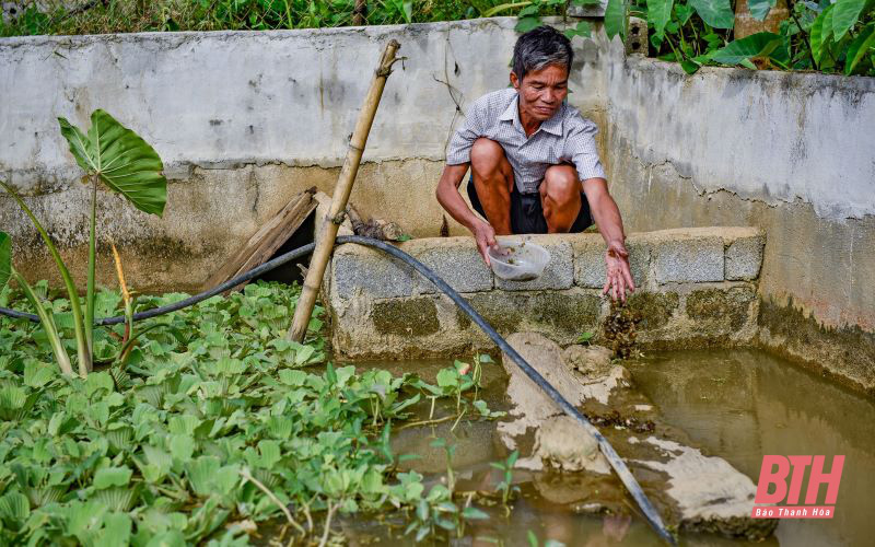 Thanh Hóa: Nuôi ba ba trên cạn trong bể xi măng, bán đắt tiền mà chưa kịp lớn đã có người đòi mua - Ảnh 3.