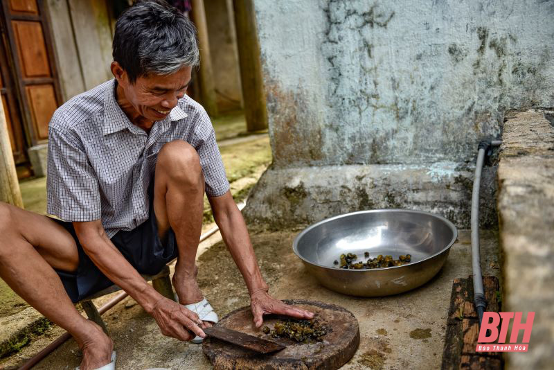 Thanh Hóa: Nuôi ba ba trên cạn trong bể xi măng, bán đắt tiền mà chưa kịp lớn đã có người đòi mua - Ảnh 6.