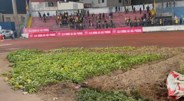 Sân Lạch Tray trồng rau, báo Thái Lan giật tít: &quot;V.League đang làm nông nghiệp?&quot; - Ảnh 2.