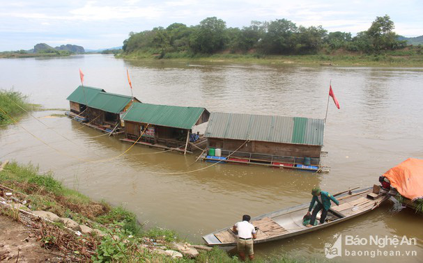 Nghệ An: Nhốt cá vào lồng Tết đến bắt lên vài trăm con đem bán thu lời, còn được hỗ trợ thêm tiền - Ảnh 1.