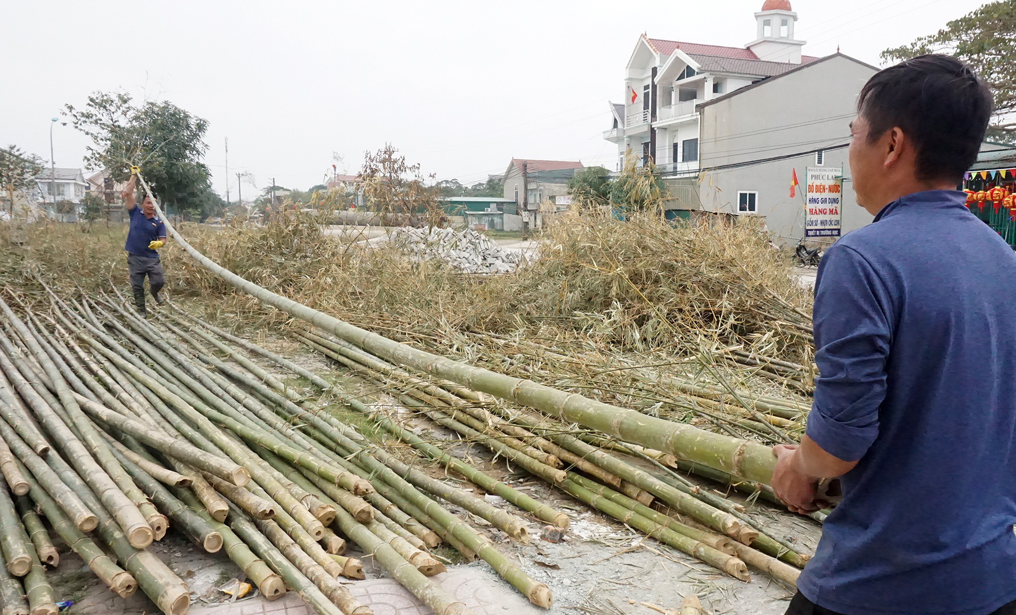 Tết Tân Sửu 2021: Loại cây &quot;cắt gốc, còn ngọn&quot; mỗi năm chỉ bán 1 lần nhưng lại cực kỳ đắt khách - Ảnh 5.