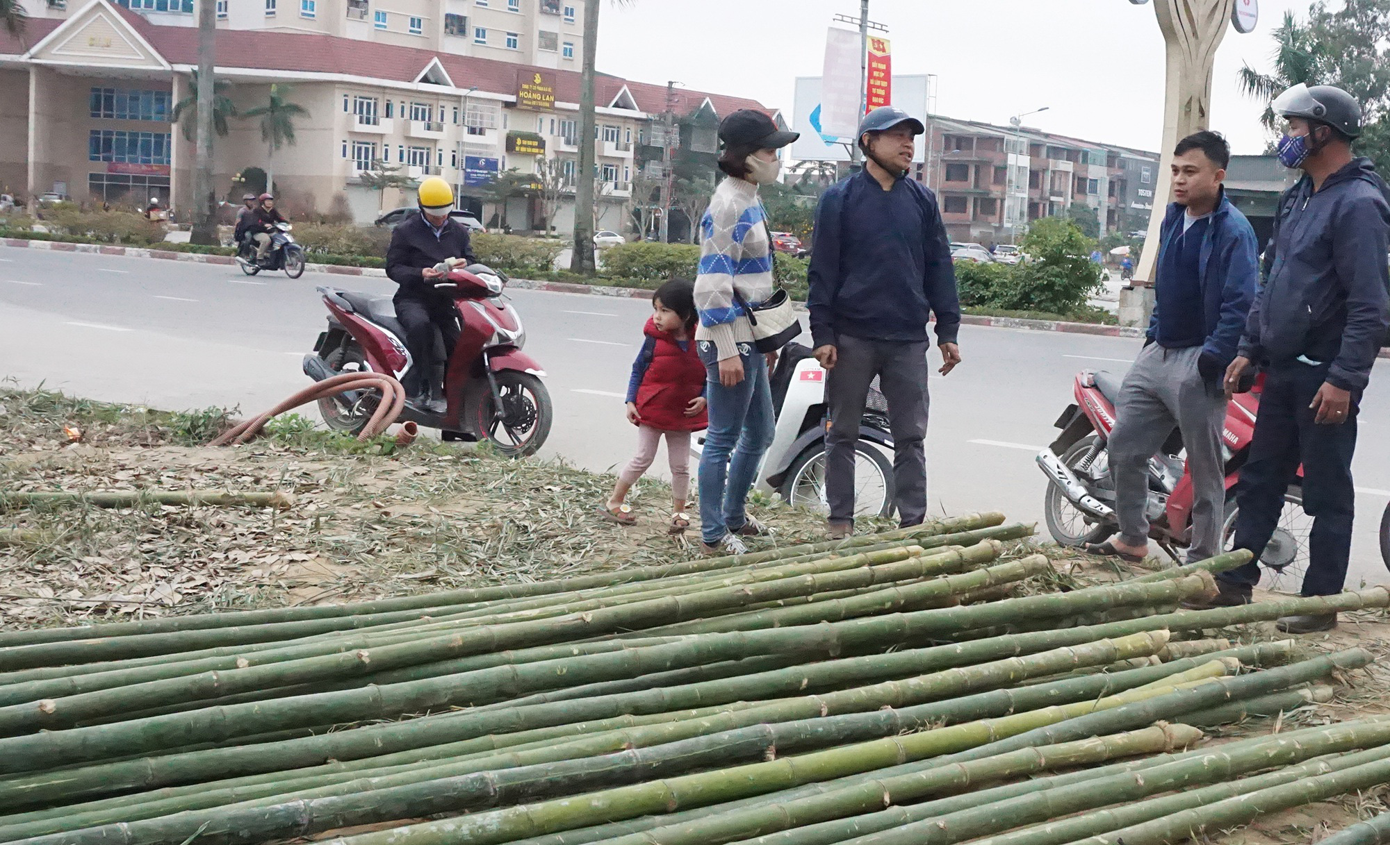 Tết Tân Sửu 2021: Loại cây &quot;cắt gốc, còn ngọn&quot; mỗi năm chỉ bán 1 lần nhưng lại cực kỳ đắt khách - Ảnh 4.