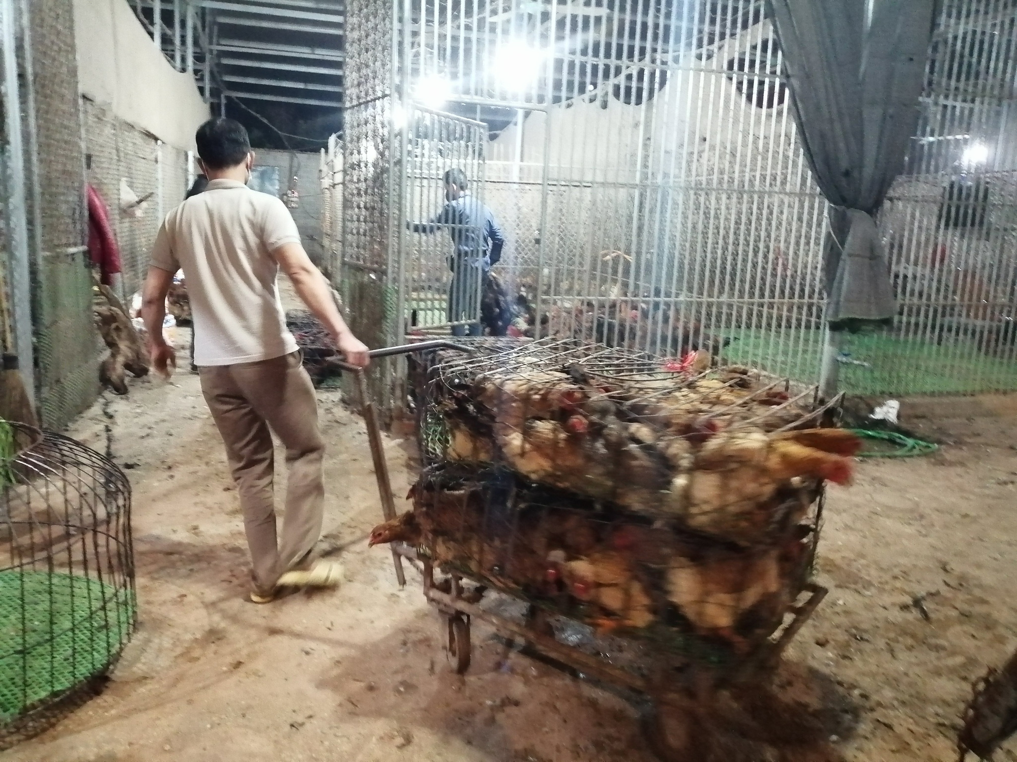 Bắc Giang: Cận Tết, chợ thu mua gà lớn nhất huyện Tân Yên ảm đạm, tiêu thụ giảm 30% so với năm trước - Ảnh 6.