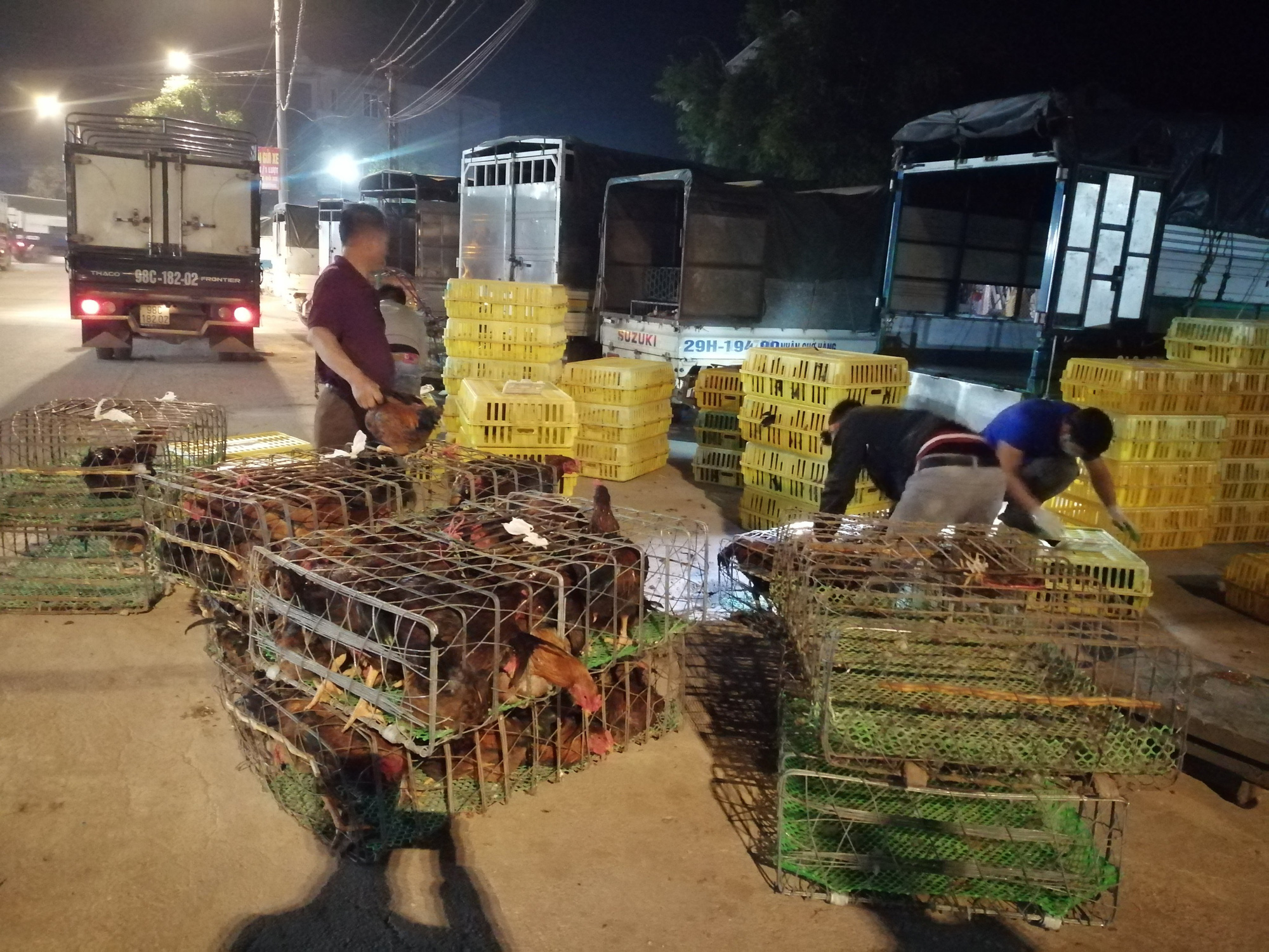 Bắc Giang: Cận Tết, chợ thu mua gà lớn nhất huyện Tân Yên ảm đạm, tiêu thụ giảm 30% so với năm trước - Ảnh 4.