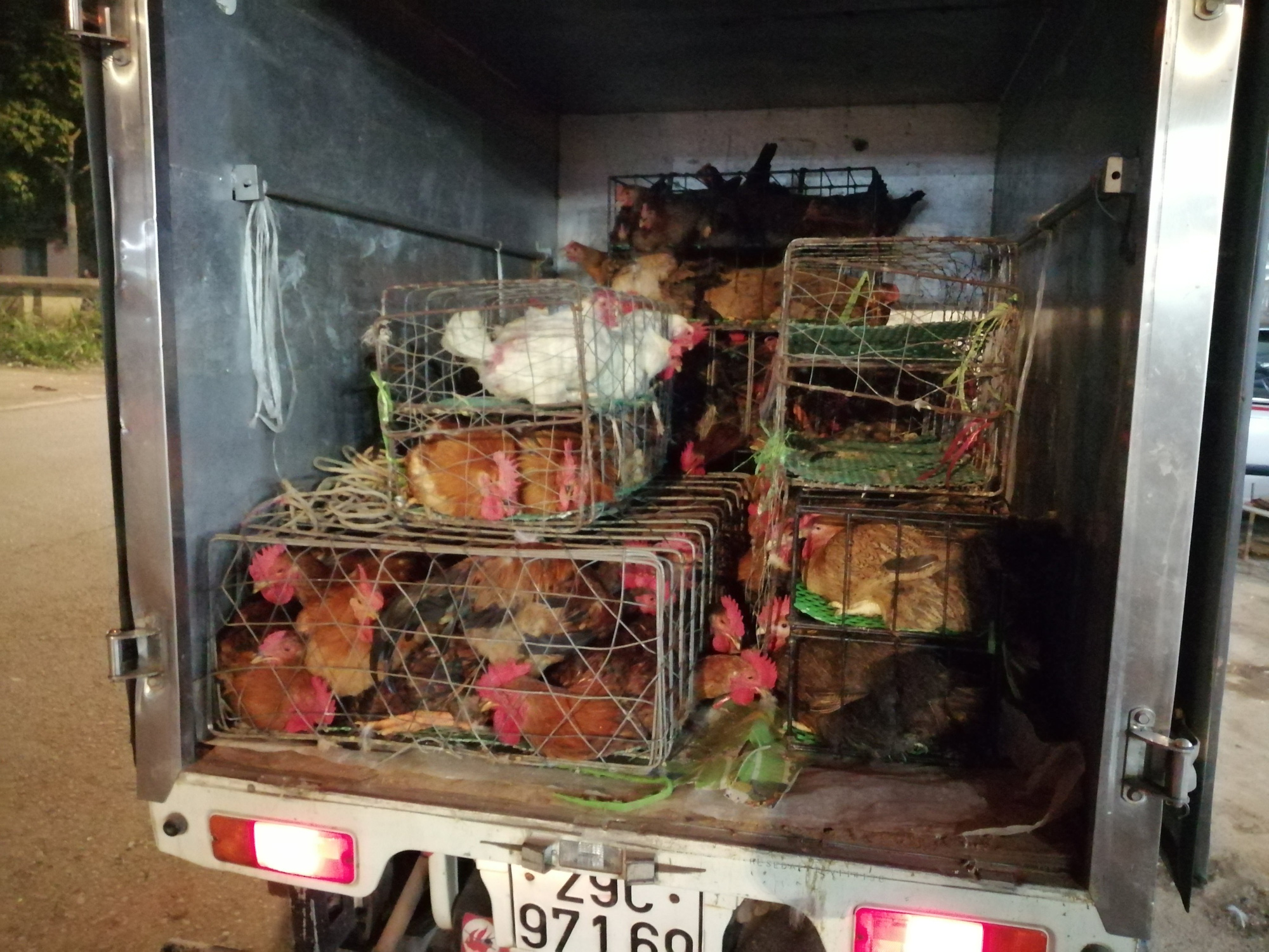 Bắc Giang: Cận Tết, chợ thu mua gà lớn nhất huyện Tân Yên ảm đạm, tiêu thụ giảm 30% so với năm trước - Ảnh 5.