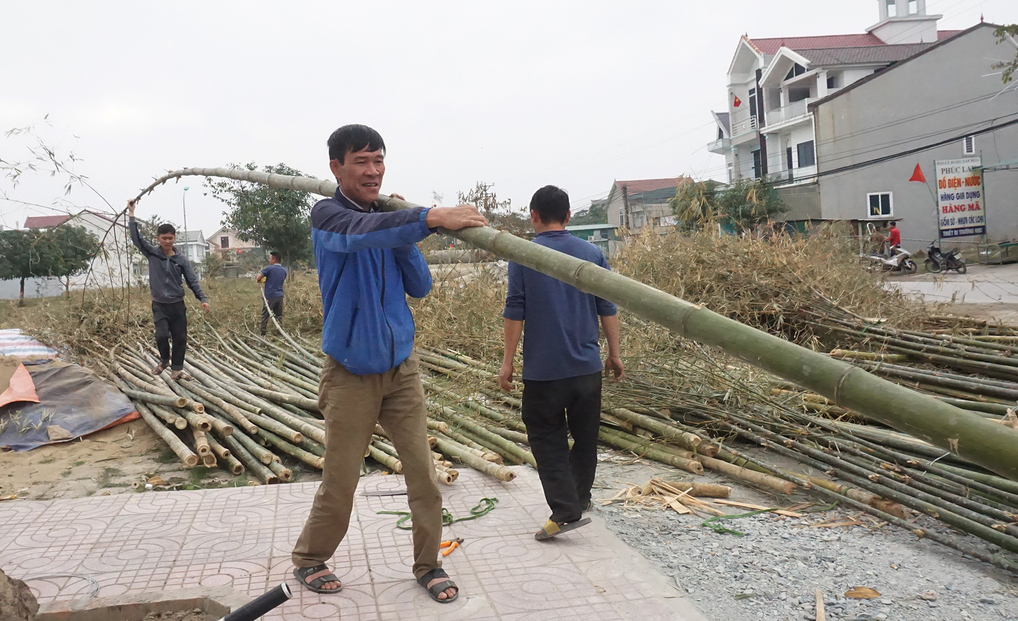 Tết Tân Sửu 2021: Loại cây &quot;cắt gốc, còn ngọn&quot; mỗi năm chỉ bán 1 lần nhưng lại cực kỳ đắt khách - Ảnh 7.