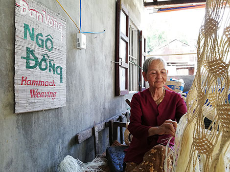 Quảng Nam: Cây ngô đồng xứ cù lao và chuyện 2 người đàn bà cuối cùng làm nghề đan võng từ vỏ cây ngô đồng - Ảnh 3.
